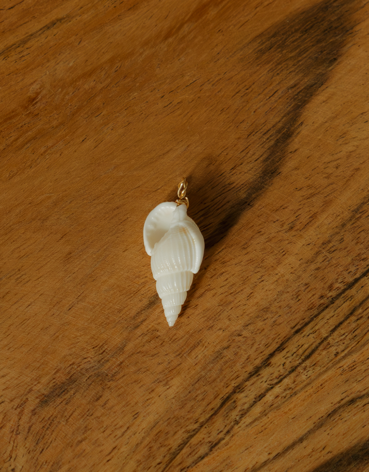 Spiral Shell Charm