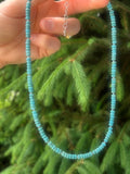 Little Turquoise