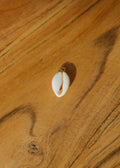 Cowrie Shell Charm
